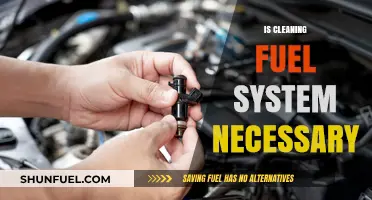 Is Cleaning Your Fuel System Necessary? Expert Insights and Advice