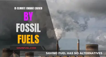 Fossil Fuels' Impact on Climate Change: Examining the Evidence