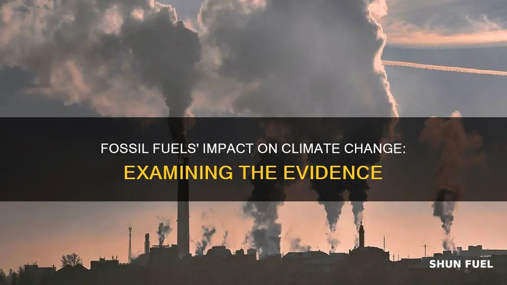 is climate change caused by fossil fuels