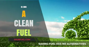 Is CNG a Clean Fuel? Exploring Its Environmental Impact and Benefits