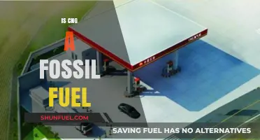 CNG: Fossil Fuel or Not?