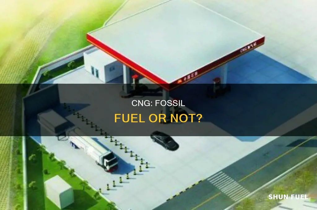 is cng a fossil fuel