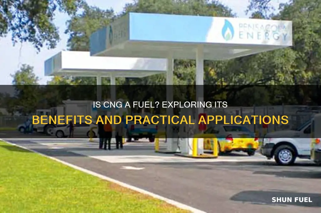 is cng a fuel