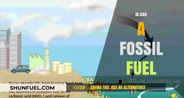How CO2 and Fossil Fuels are Interconnected