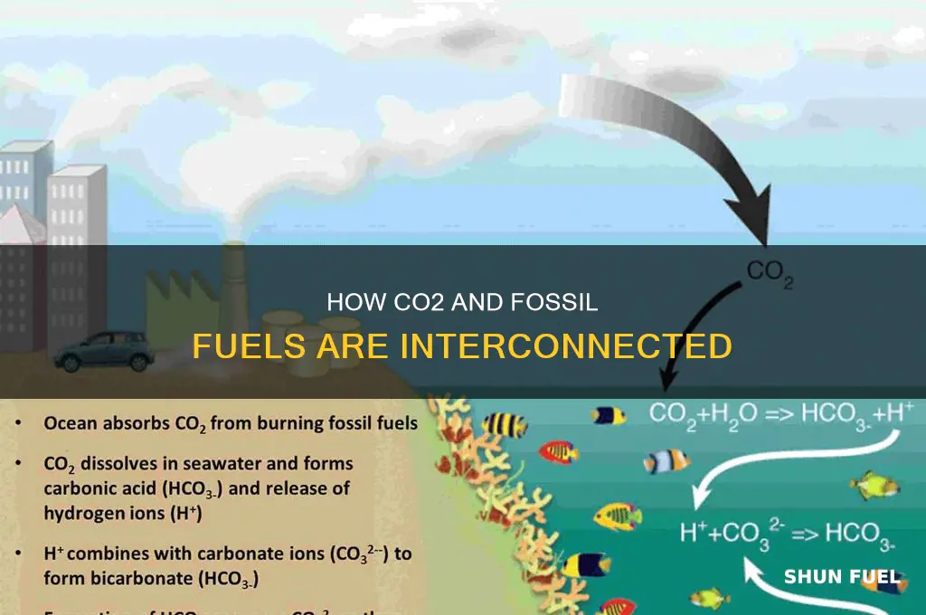 is co2 a fossil fuel
