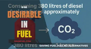 Is CO2 in Fuel a Blessing or a Curse?