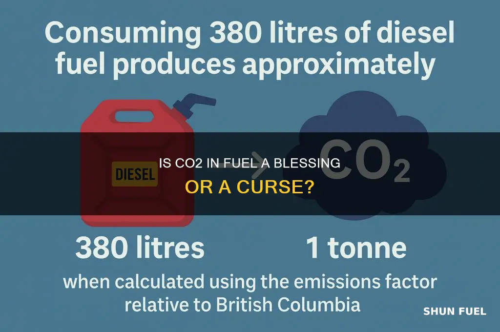 is co2 desirable in fuel