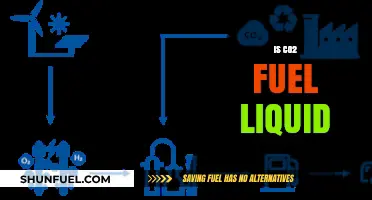 Is CO2 a Viable Liquid Fuel Alternative for the Future?
