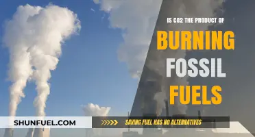 Fossil Fuel Combustion: CO2, the Byproduct?