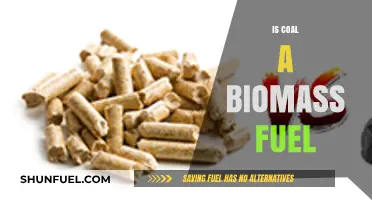 Is Coal a Biomass Fuel? Exploring the Energy Source Debate