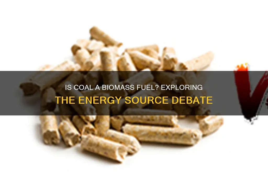 is coal a biomass fuel