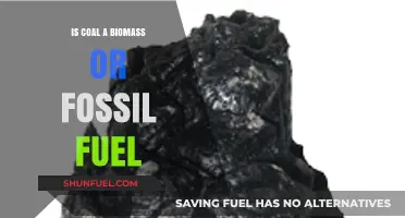 Biomass or Fossil Fuel: What is Coal?