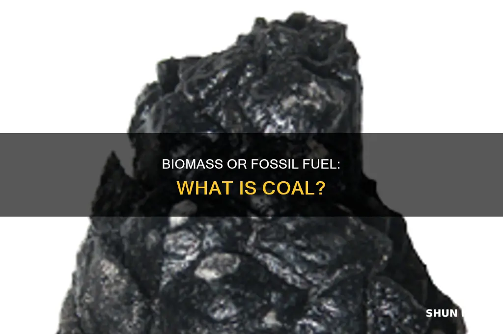 is coal a biomass or fossil fuel