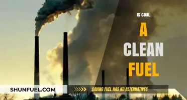 Is Coal a Clean Fuel? Debunking Myths and Environmental Impacts