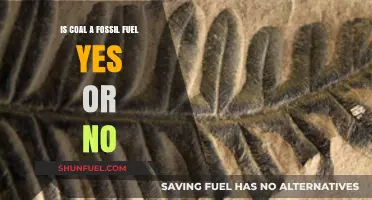 The Truth About Coal: Fossil Fuel or Not?