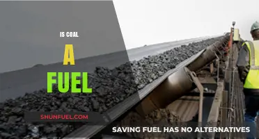 Is Coal a Fuel? Exploring Its Role in Energy Production