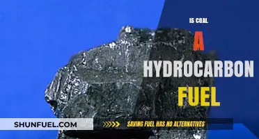 Is Coal a Hydrocarbon Fuel? Understanding Its Composition and Classification