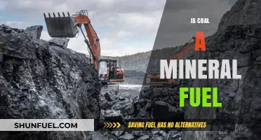 Is Coal a Mineral Fuel? Unveiling the Truth Behind Its Classification