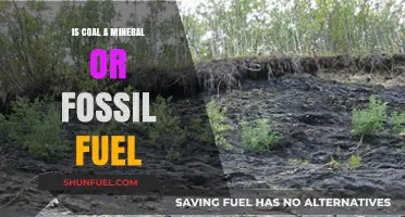 Mineral or Fossil Fuel: What is Coal?