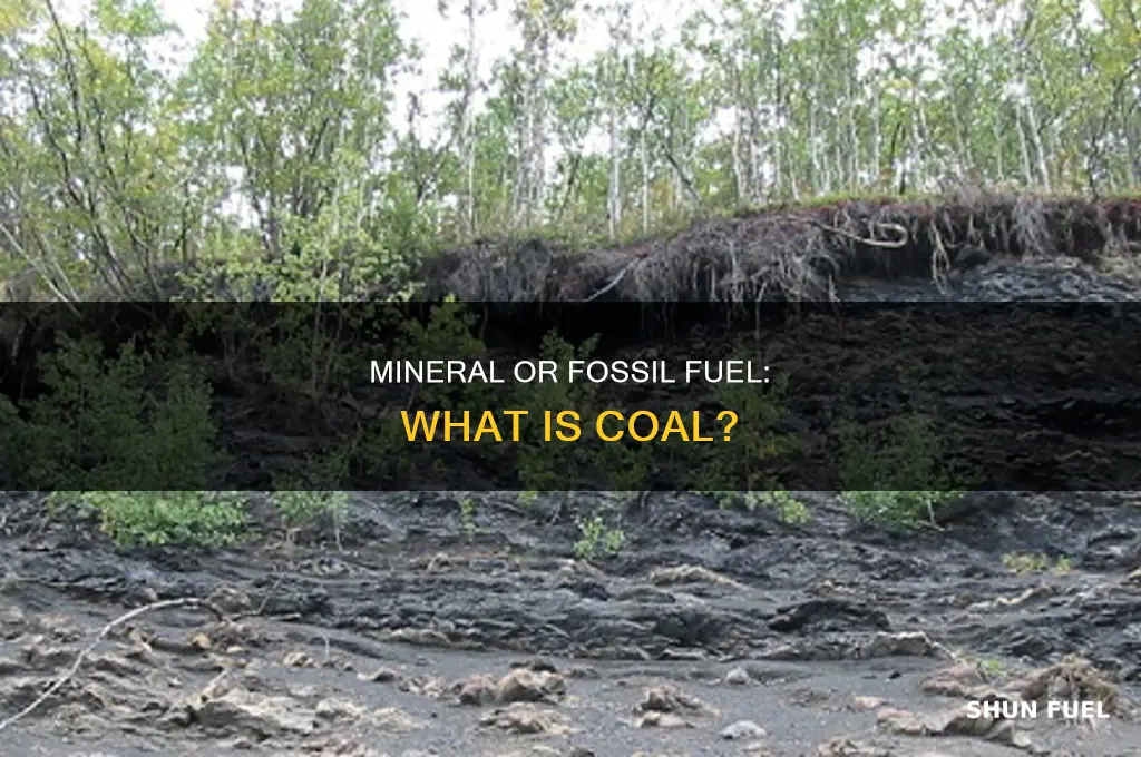 is coal a mineral or fossil fuel