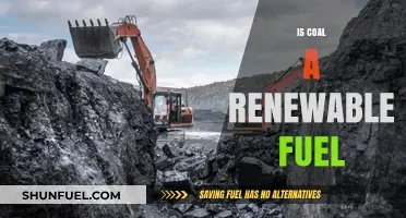 Is Coal Renewable? Debunking Myths About This Fossil Fuel
