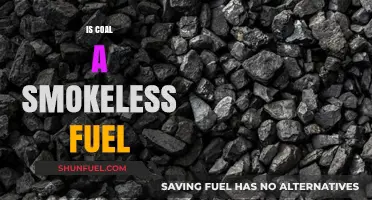 Is Coal Smokeless? Debunking Myths About Coal as a Fuel
