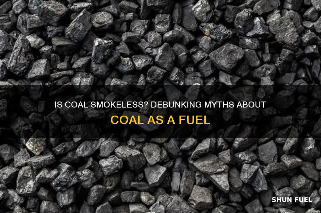is coal a smokeless fuel