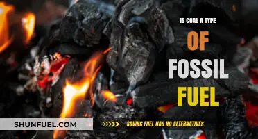 Fossil Fuel Coal: What's the Connection?