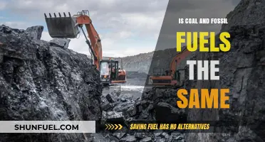 Fossil Fuels: Coal's Family Tree Explored