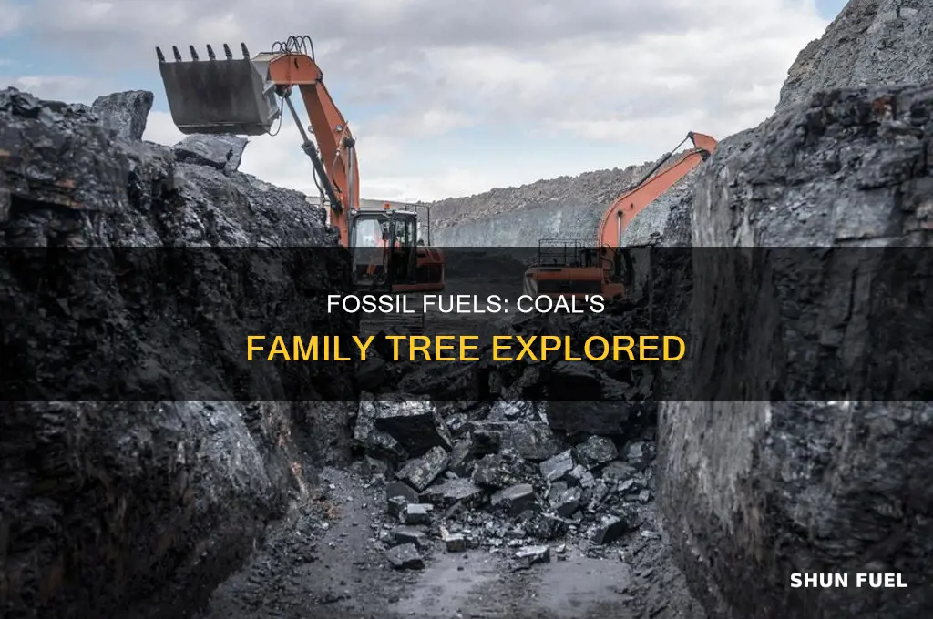 is coal and fossil fuels the same