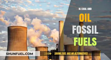 Fossil Fuels: Coal and Oil's Dark Legacy