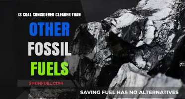 The Cleanliness of Coal: Fossil Fuel Comparison