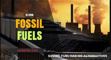 How Coal Fits into Fossil Fuels