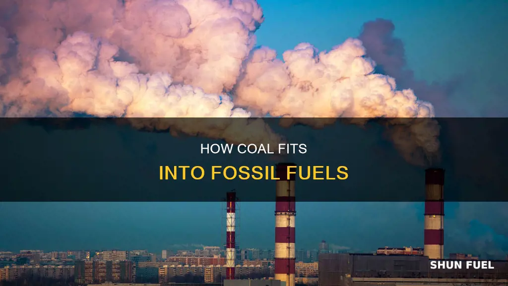 is coal fossil fuels