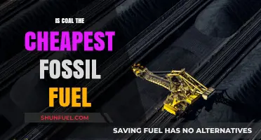 Cheapest Fossil Fuel: Coal's Costly Conundrum