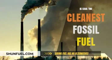 The Cleanest Fossil Fuel: Coal's Dirty Truth