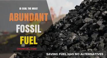 The Abundance of Coal: Most Common Fossil Fuel?