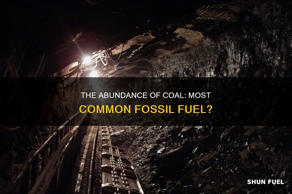 is coal the most abundant fossil fuel
