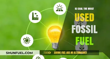Coal: Most Used Fossil Fuel?