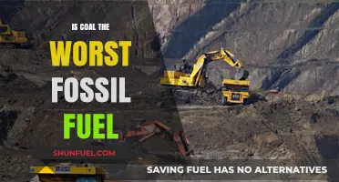 The Dark Side of Coal: Worst Fossil Fuel?