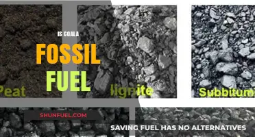 Coals: Fossil Fuel or Not?