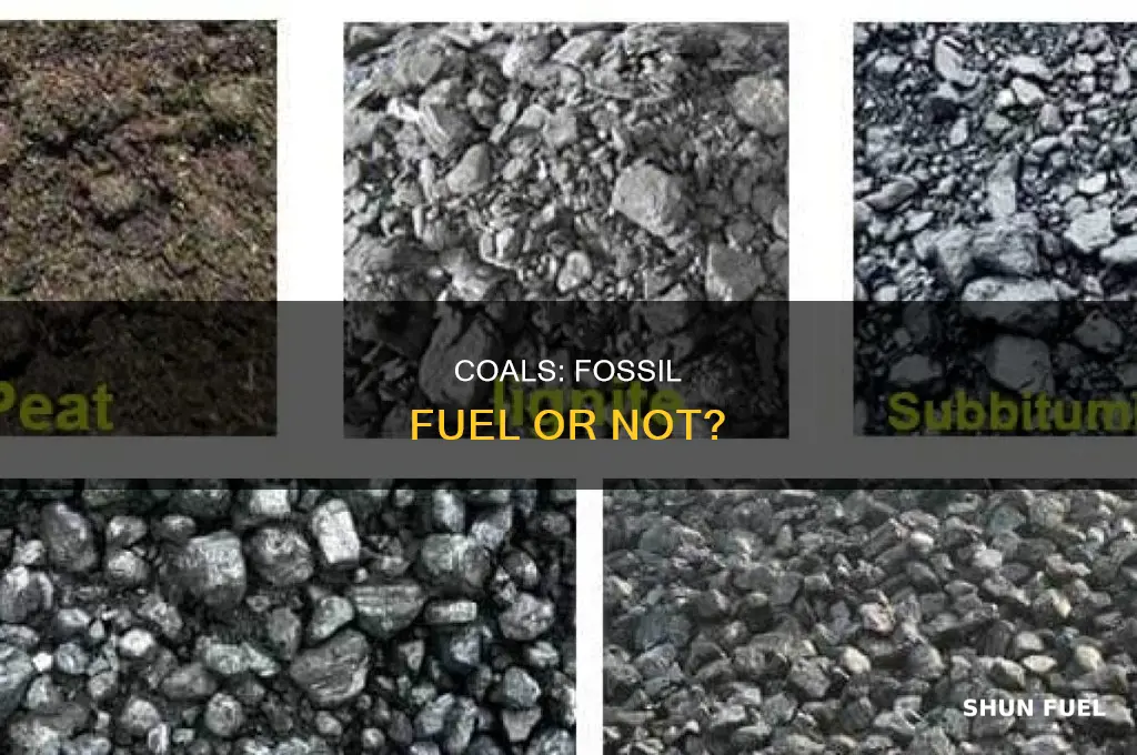 is coala fossil fuel