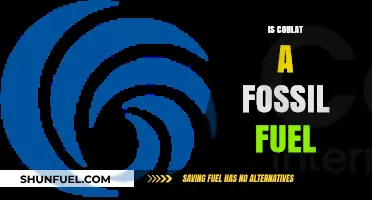 Cobalt: Fossil Fuel or Clean Energy Metal?