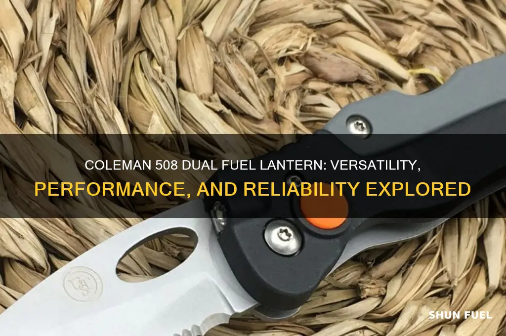 is coleman 508 dual fuel