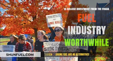 Fossil Fuel Divestment: Are Colleges' Efforts Worthwhile?