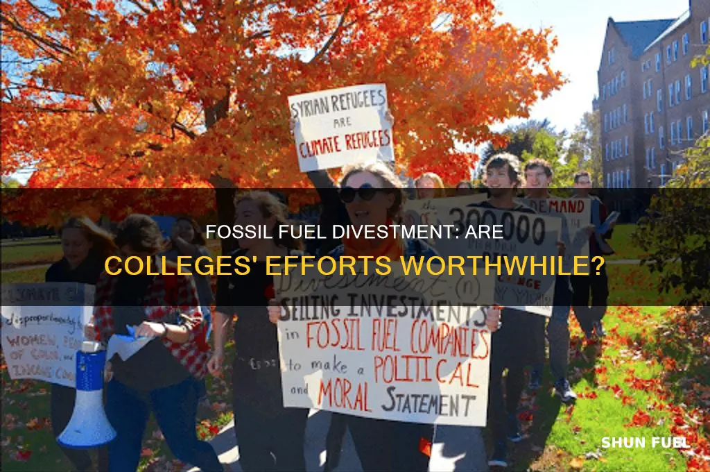 is college divestment from the fossil fuel industry worthwhile