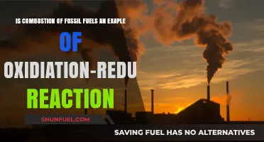 Fossil Fuel Combustion: Oxidation-Reduction in Action