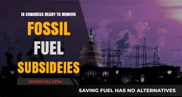 Congress Debates Fossil Fuel Subsidies: Time for Change?