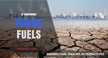 Fossil Fuels: A Burning Issue for Our Planet