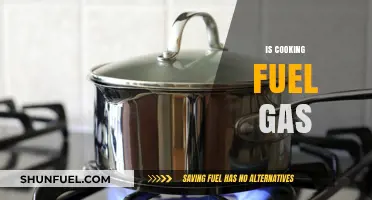Is Cooking Fuel Gas the Best Choice for Your Kitchen?